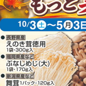 えのき茸