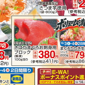 まぐろ（さく取り）