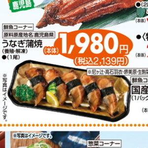 うなぎの蒲焼き