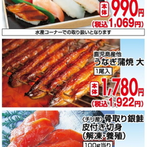 うなぎの蒲焼き