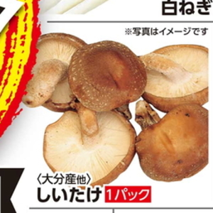 しいたけ