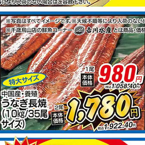 うなぎの蒲焼き