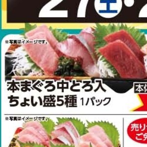 まぐろ中とろ