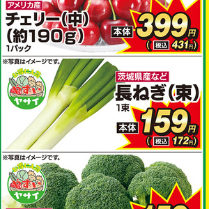 ながねぎ