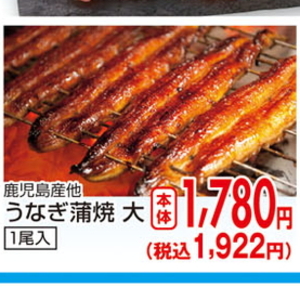 うなぎの蒲焼き