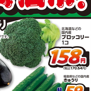 ブロッコリー