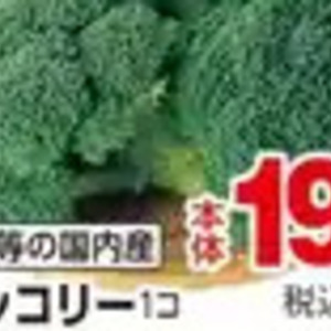 ブロッコリー