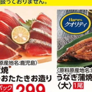 かつお（たたき）