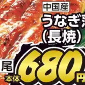 うなぎの蒲焼き
