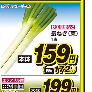 ながねぎ