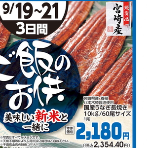 うなぎの蒲焼き
