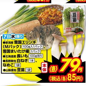 豆苗
