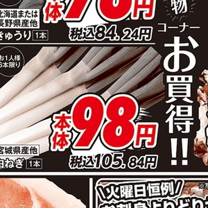 ながねぎ