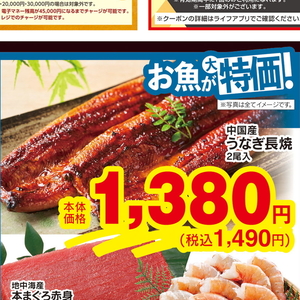 うなぎの蒲焼き