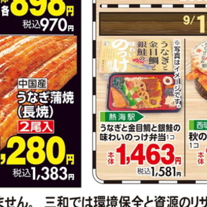 うなぎの蒲焼き