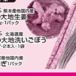 ごぼう