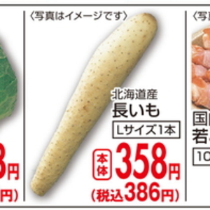 ながいも