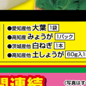 ながねぎ