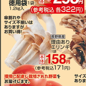 エリンギ