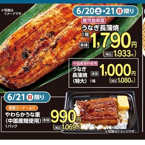 うなぎの蒲焼き