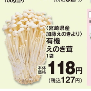 えのき茸