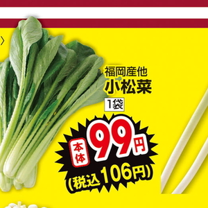 こまつ菜