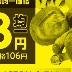 えのき茸