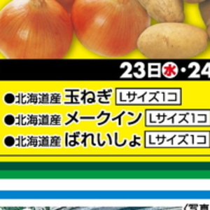 たまねぎ