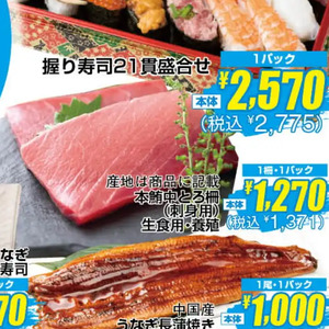 まぐろ中とろ