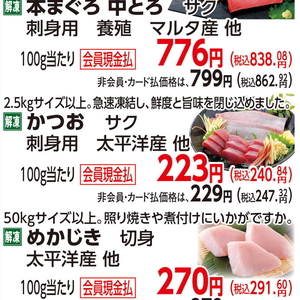 かつお（さく取り）