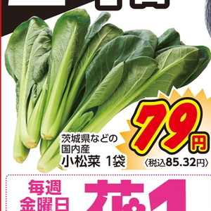 こまつ菜