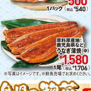 うなぎの蒲焼き