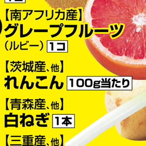 レンコン