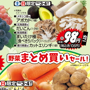 エリンギ