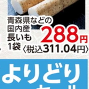 ながいも