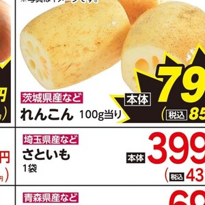 レンコン