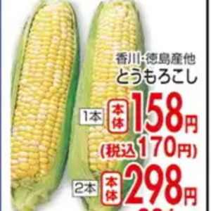 とうもろこし