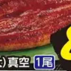 うなぎの蒲焼き