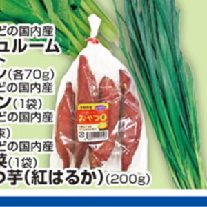 こまつ菜