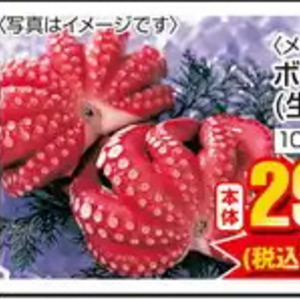 たこ（ボイル）