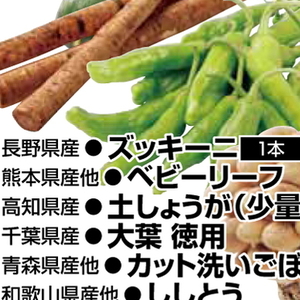 ズッキーニ
