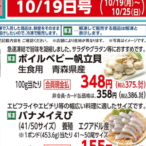 ほたて（ベビー）