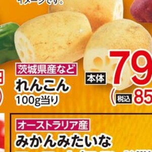 レンコン