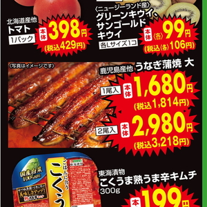 うなぎの蒲焼き