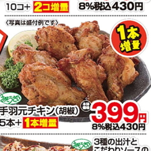 鶏手羽元