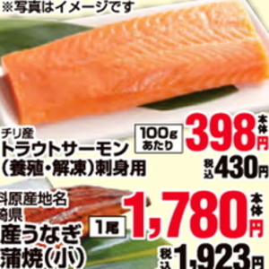 サーモン（刺身）