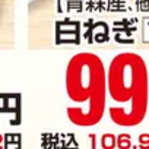 ながねぎ