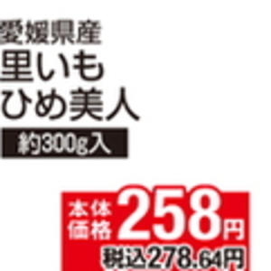 さといも