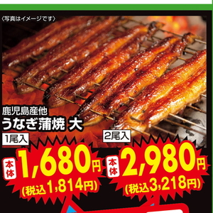 うなぎの蒲焼き