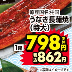 うなぎの蒲焼き